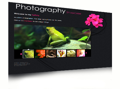 Photography Showcase